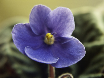 Similar image 127181