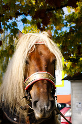 Similar image 127184