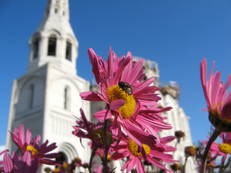 Similar image 127187