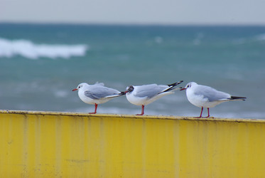 Similar image 127193