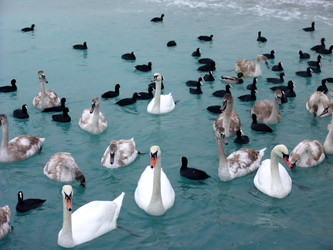 Similar image 127196