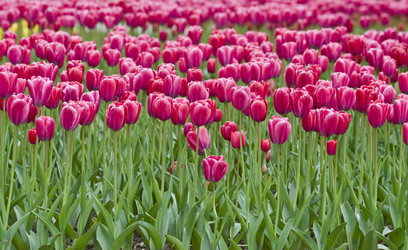 Similar image 127215