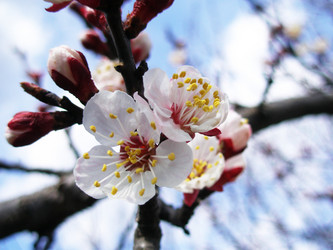 Similar image 127228