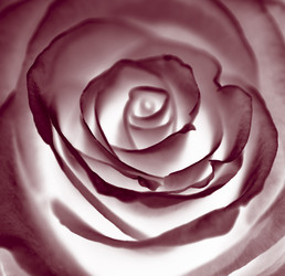 Similar image 127269