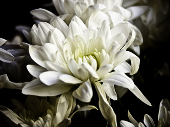 Similar image 127273