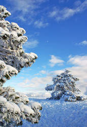 Similar image 127317