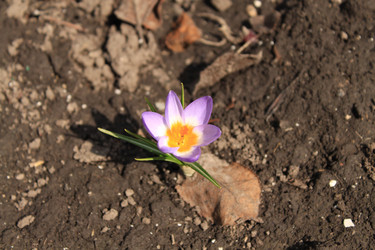 Similar image 127325