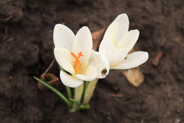 Similar image 127369