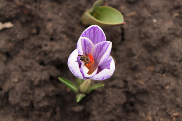 Similar image 127370