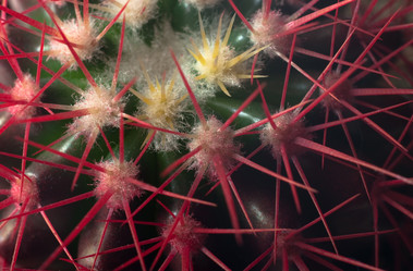 Similar image 127373