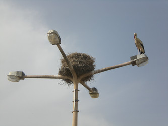 Similar image 127376