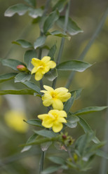 Similar image 127407