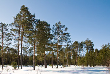 Similar image 127423