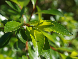 Similar image 127426