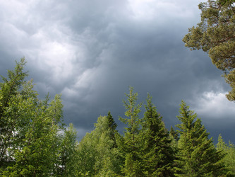 Similar image 127431