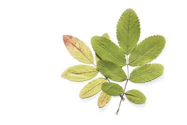 Similar image 127443