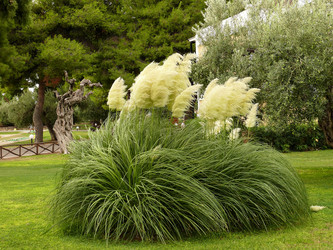 Similar image 127516