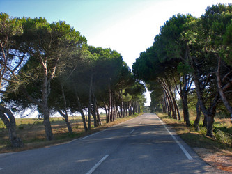 Similar image 127520