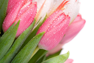 Similar image 127525