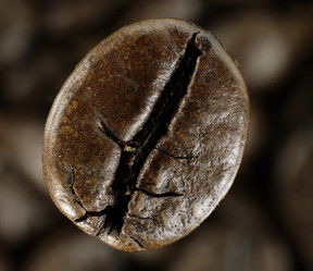 Similar image 127550