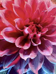 Similar image 127560