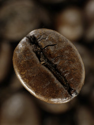 Similar image 127563