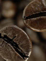 Similar image 127590