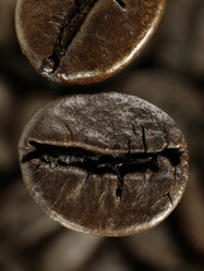 Similar image 127592