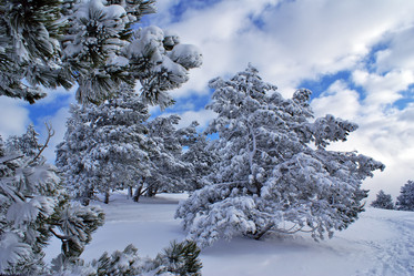 Similar image 127595