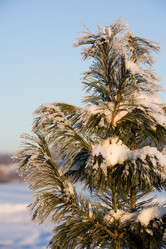 Similar image 127625