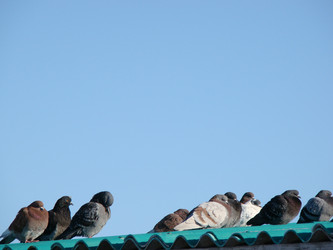 Similar image 127638