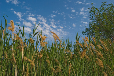 Similar image 127747