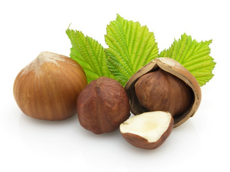 Similar image 127754