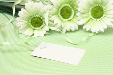 Similar image 127791