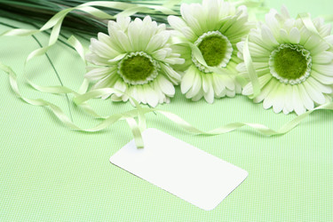 Similar image 127792