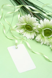 Similar image 127793