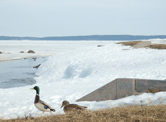 Similar image 127795