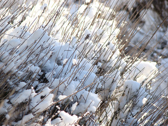 Similar image 127813