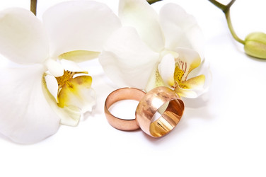 Similar image 127826