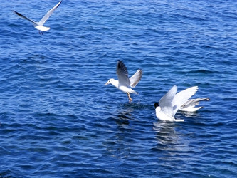 Similar image 127841