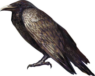 Similar image 127843