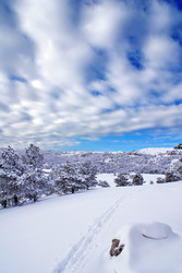 Similar image 127880