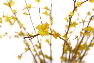 Similar image 127913