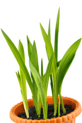 Similar image 127914