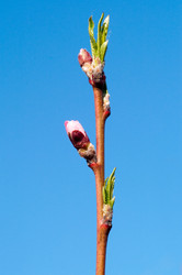 Similar image 127917