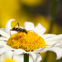 Similar image 127919