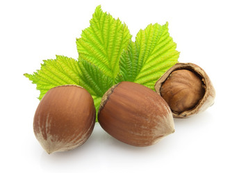 Similar image 127921