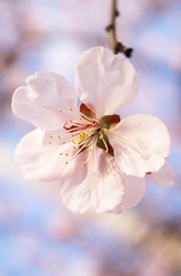 Similar image 127923