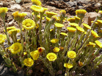 Similar image 127925