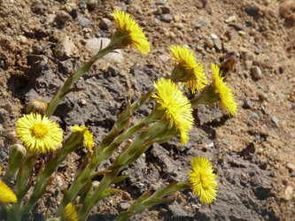 Similar image 127926